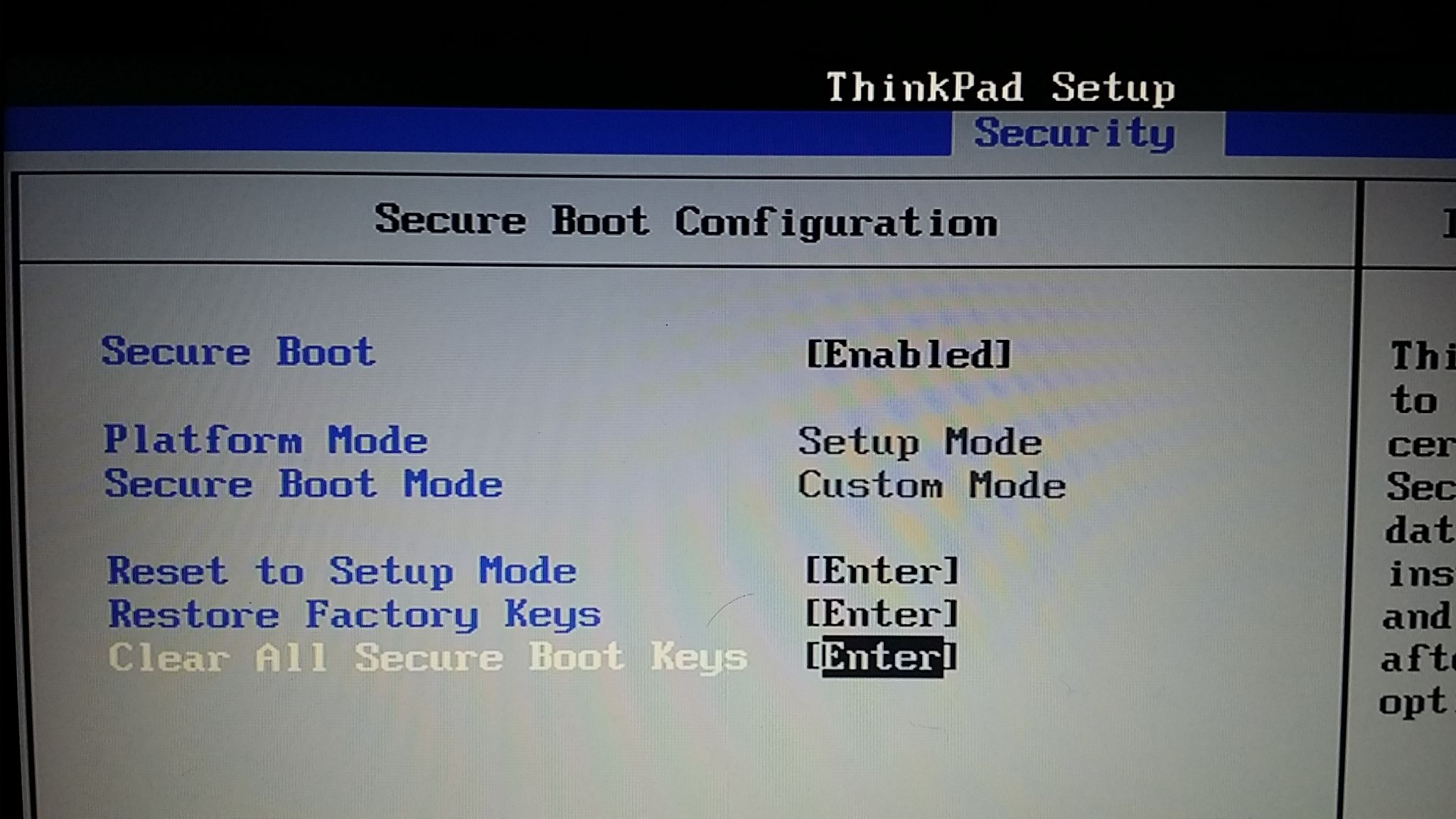 Thinkpad E117 - Hard Disk Not Detecting During Windows 17